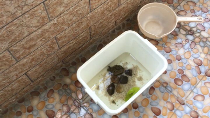 他很聪明截图
