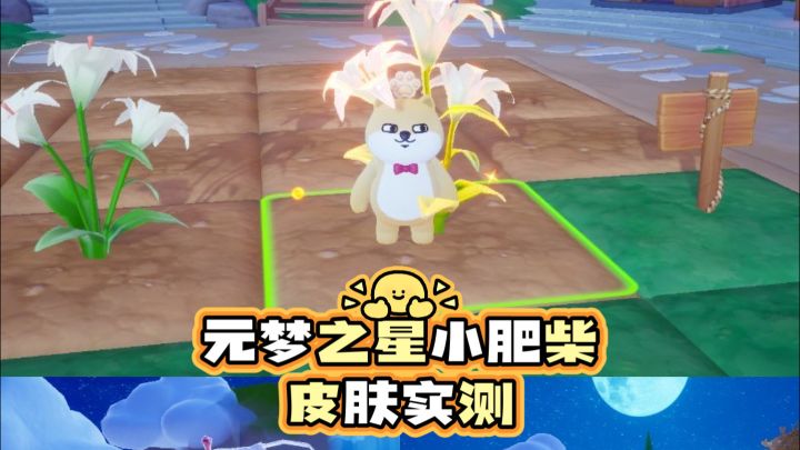 元梦之星小肥柴皮肤实测🐶截图