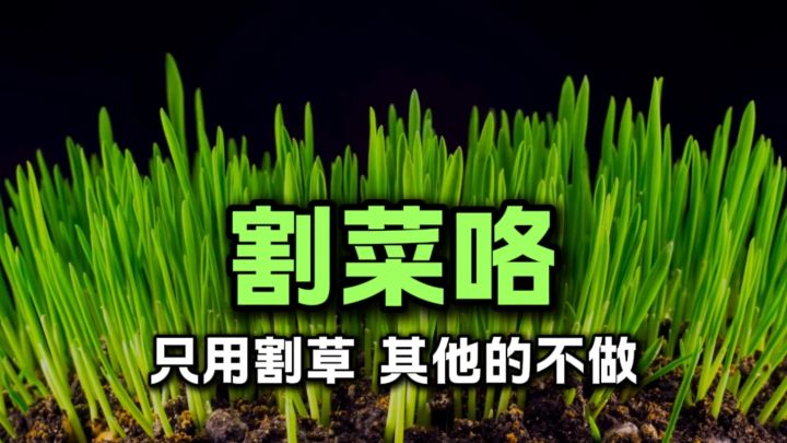 草草滞销，救救老农……截图