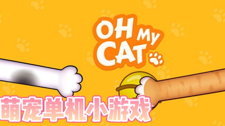 可以跟你的朋友一起玩的猫爪游戏！ ＃萌宠在哪里＃截图