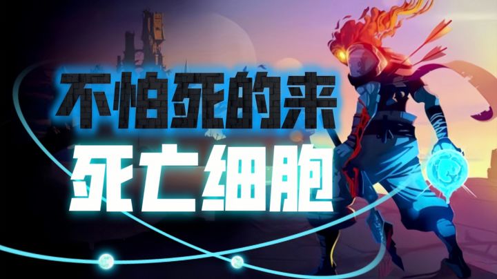 Steam必玩游戏安利:恶魔城➕肉鸽王炸组合❗刀刀到肉的硬核闯关截图