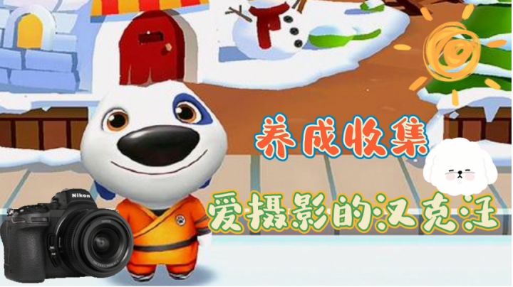 爱摄影的汉克汪#萌宠在哪里#截图