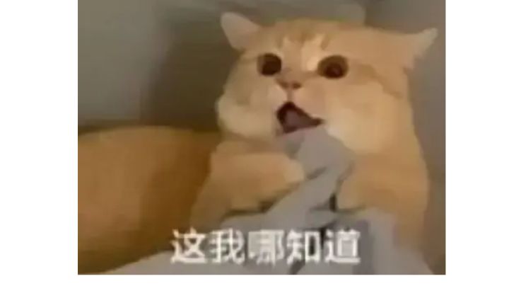 一无四禁 教宗截图