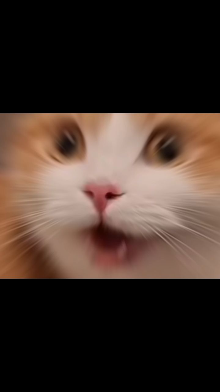 猎魔团你小子是懂送福利的!截图