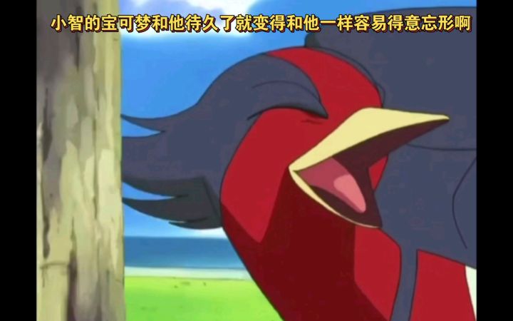 精灵宝可梦 小智的宝可梦和他待久了就变得和他一样容易得意忘形啊截图