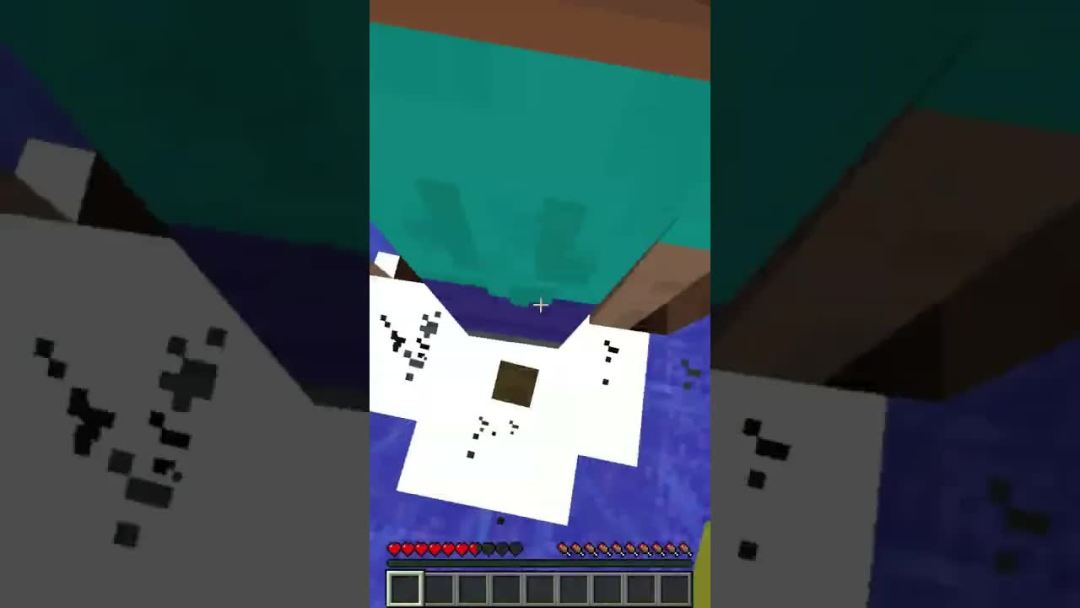 video-3034004