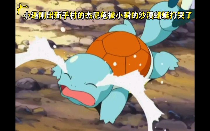 精灵宝可梦 小遥刚出新手村的杰尼龟被小瞬的沙漠蜻蜓打哭了截图
