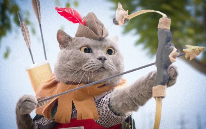 猫猫队大冒险:猫咪斗恶龙截图