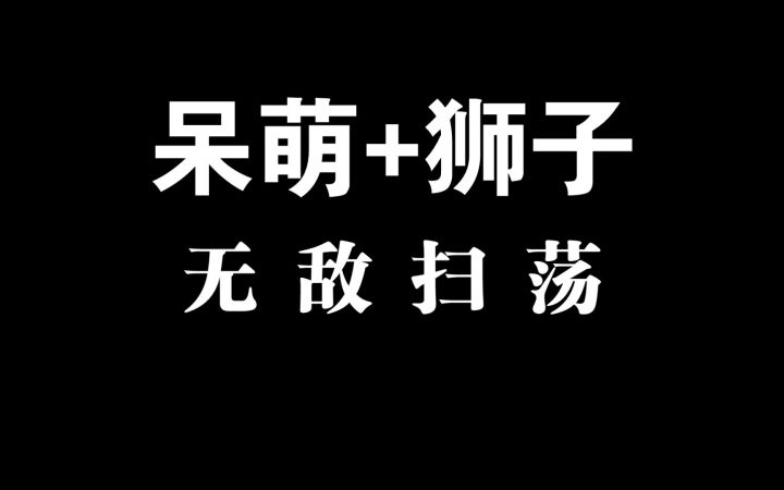 《剑与远征》无敌两人阵容，前期必备截图