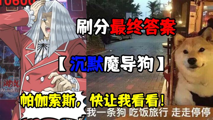 刷分最终答案构筑【沉默魔导狗】帕伽索斯，快让我看看！截图
