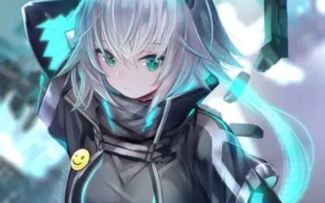 艾希“帕克”打法