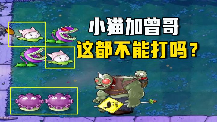 植物大战僵尸：五虎大将（上），小猫加曾哥都不行？这游戏变味了截图