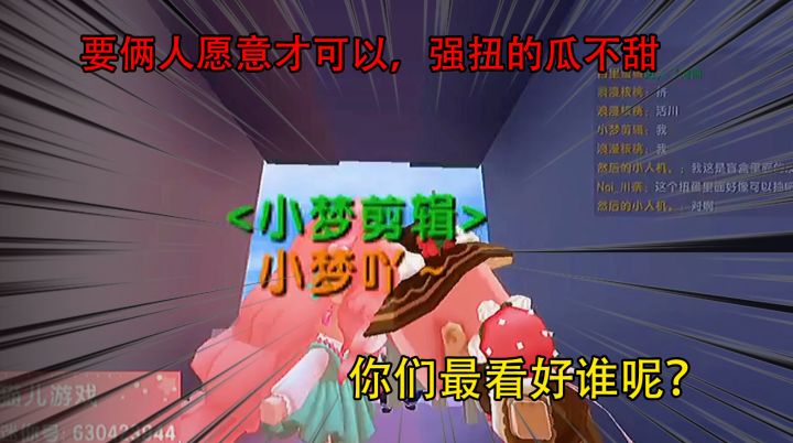 迷你世界：要俩人愿意才可以，强扭的瓜不甜，你们最看好谁呢？截图