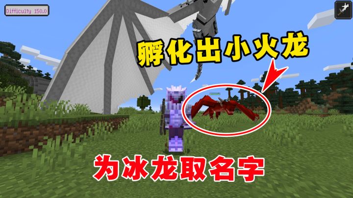 我的世界冰火传说56:孵化出一条小火龙,为冰龙取了个名字截图