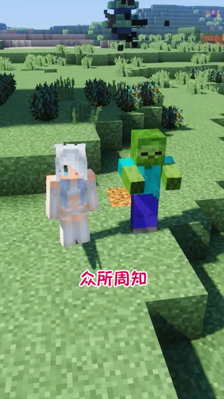 MC中最最最没用的冷知识 ！！截图