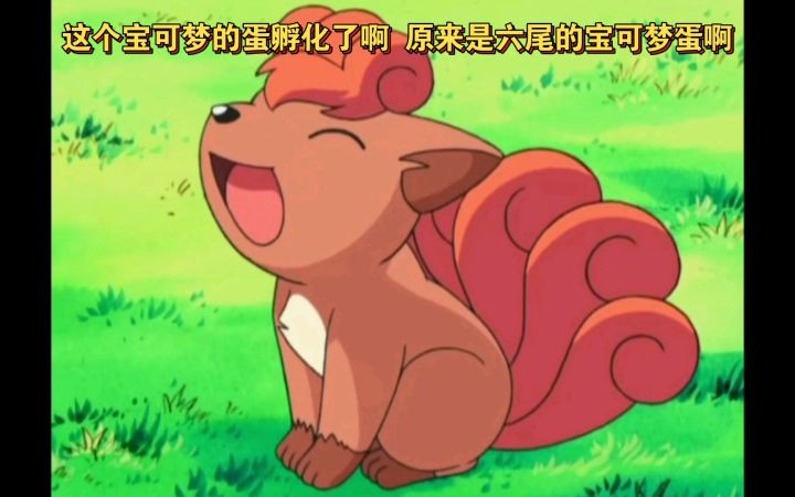 精灵宝可梦 这个宝可梦的蛋孵化了啊 原来是六尾的宝可梦蛋啊截图