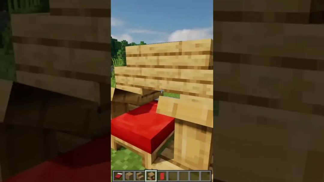 video-3026855