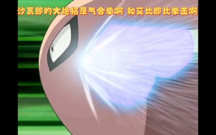 精灵宝可梦 沙瓦郎的大绝招是气合拳啊 和艾比郎比拳击啊截图