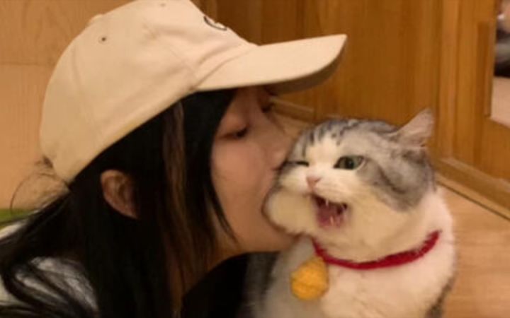 “一百斤的主人,两百斤的反骨!”截图