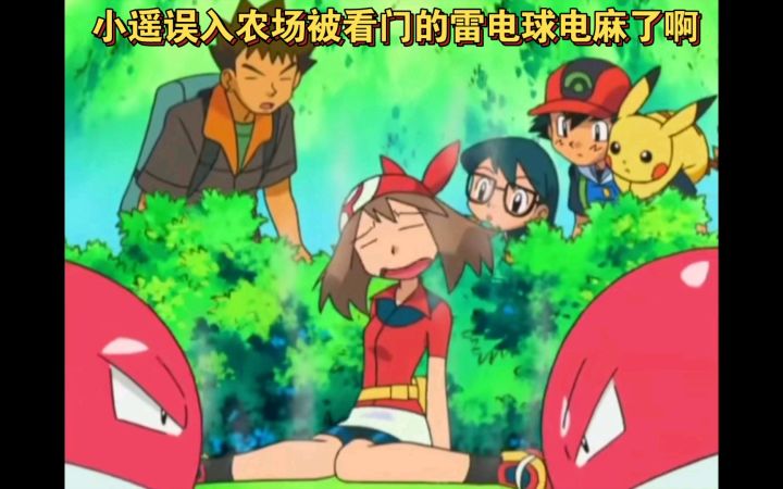 精灵宝可梦 小遥误入农场被看门的雷电球电麻了啊截图