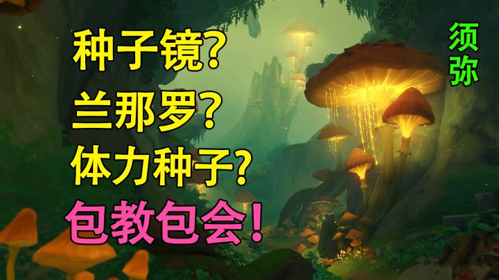 原神:带你快速掌握草之国须弥的11个玩法,通俗易懂!#无限视频创作月#截图