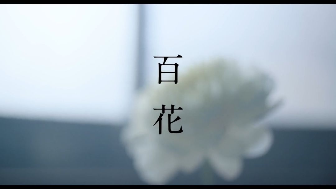 video-2291800