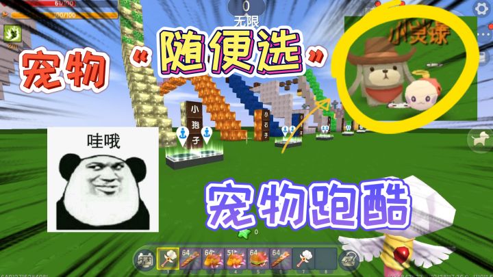 迷你世界:宠物跑酷,过一关领一个宠物,我身后的宠物快跟不下了截图