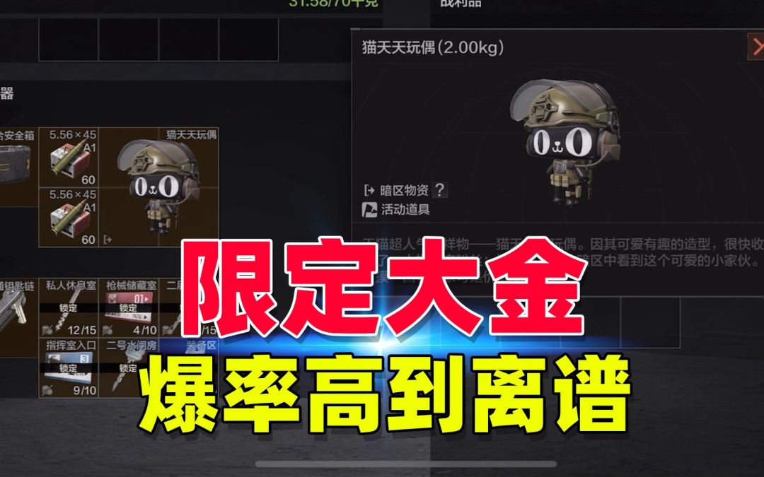 video-3740353