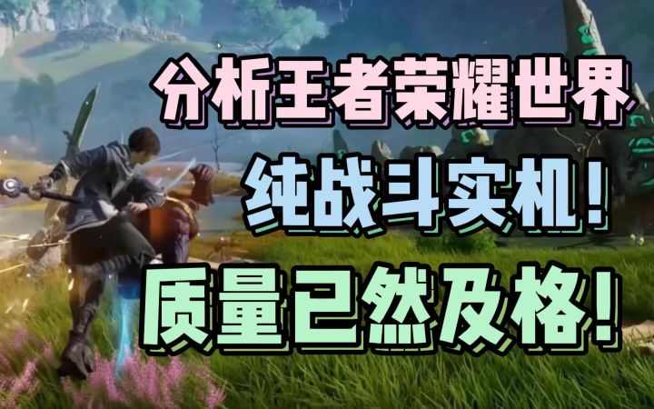 画质存在争议 但战斗已成熟!王者荣耀世界质量分析!截图