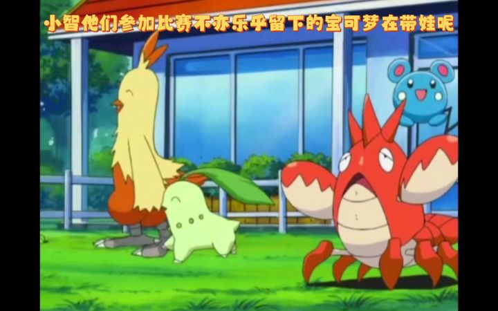 精灵宝可梦 小智他们参加比赛不亦乐乎留下的宝可梦在带娃呢截图