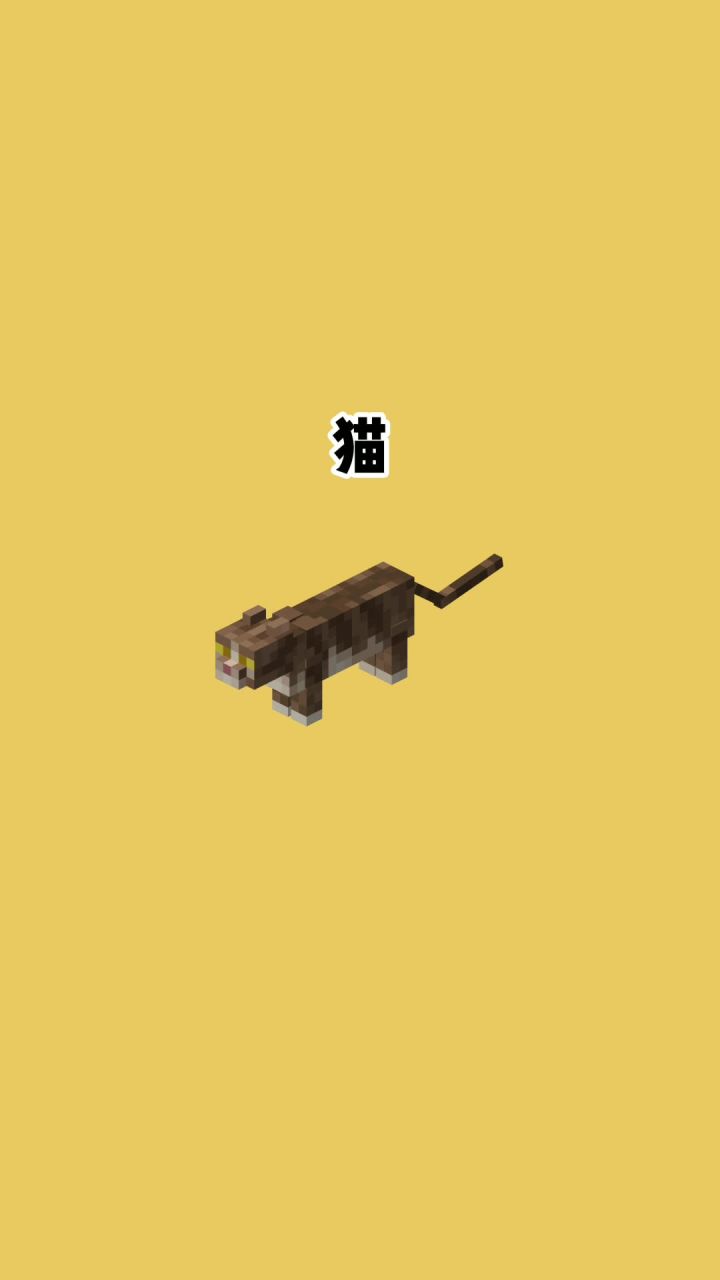 我的世界vs真实世界——猫#我的世界动画截图