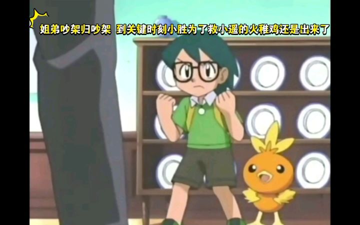精灵宝可梦 姐弟吵架归吵架 到关键时刻小胜为了救小遥的火稚鸡还是出来了截图