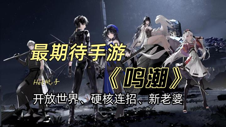 今年最期待的手游《鸣潮》截图