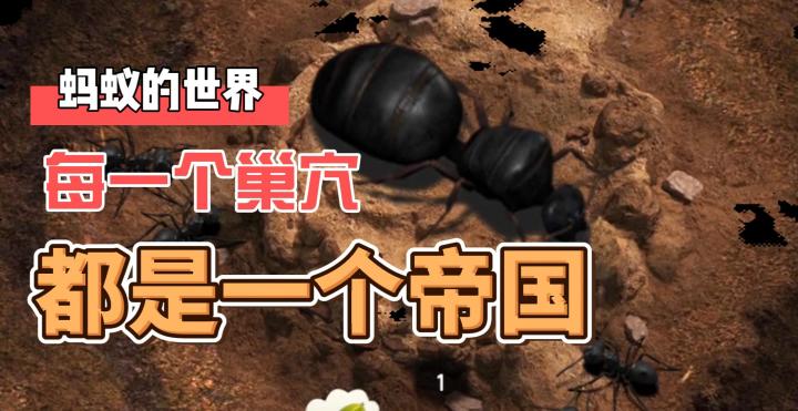 小小蚁国：带你走进蚂蚁的世界，每一个巢穴都是一个帝国截图