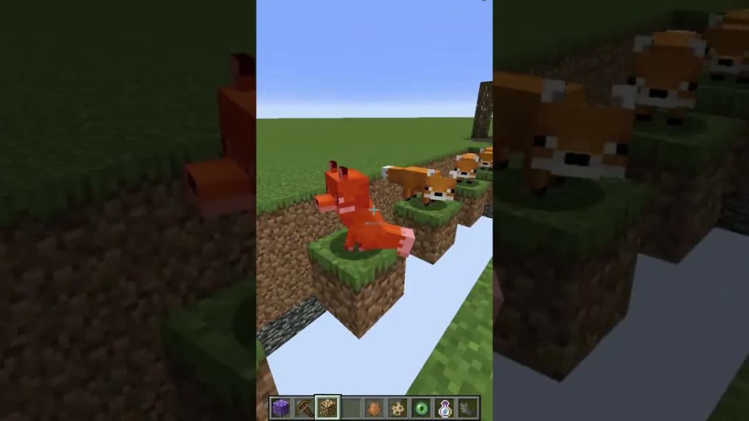 video-3029112
