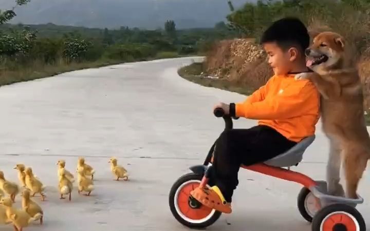 孩子和狗狗温馨瞬间 ~截图
