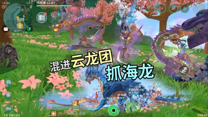 混进云龙团抓海鳄龙!创造与魔法传说瓦雷亚弓箭也没法挽救这手速截图