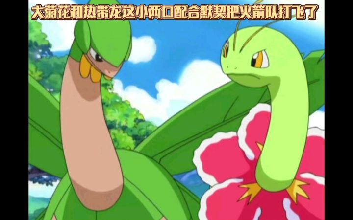 精灵宝可梦 大菊花和热带龙这小两口配合默契把火箭队打飞了截图
