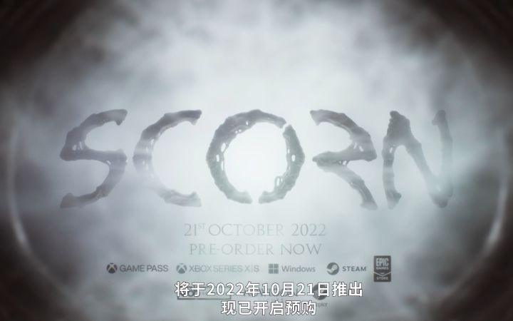 【开普勒互动&九龙之夜】《蔑视(Scorn)》中文新预告片及制作组访谈截图