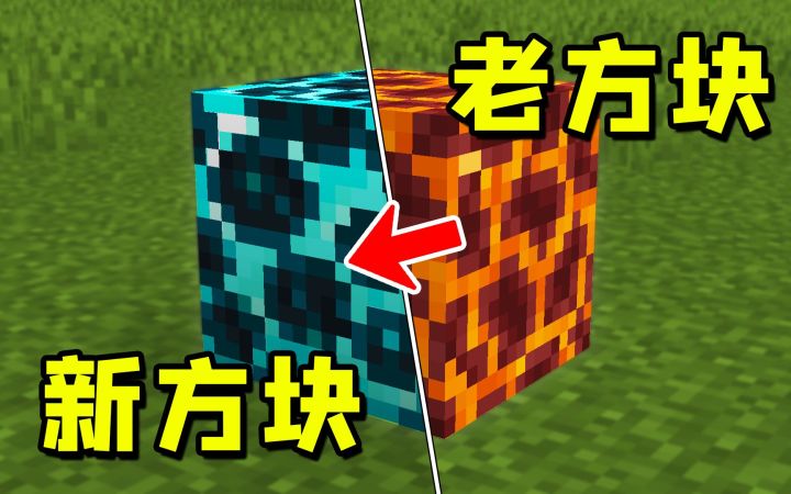 我的世界:你意想不到的,7个奇怪特性!截图