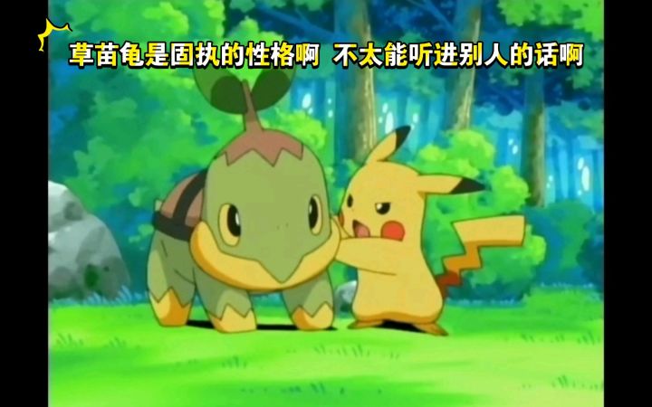 精灵宝可梦 草苗龟是固执的性格啊 不太能听进别人的话啊截图