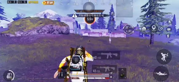 video-2132376