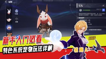 【辅酶A】新手入门必看·特色玩法宠物系统