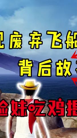 海岛发现神秘飞船，背后竟然是这样的？！（2）截图
