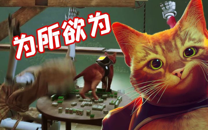 挠墙、踩键盘、打翻东西!猫咪能有什么坏心思呢?《Stray(迷失)》为所欲为血压时刻集锦截图
