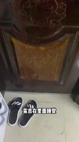 #新笑傲江湖手游 这时候你们知道要艾特谁了吗??截图