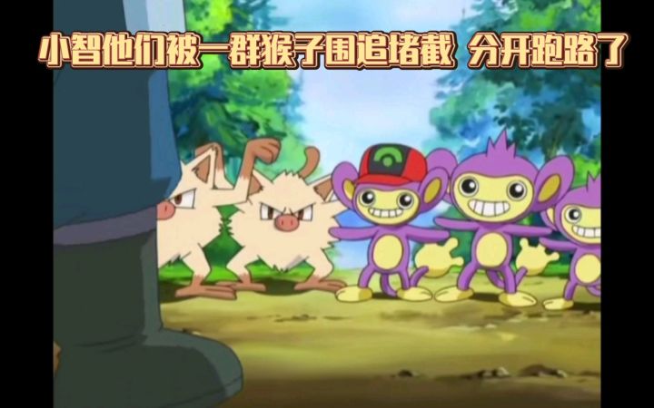 精灵宝可梦 小智他们被一群猴子围追堵截 分开跑路了截图