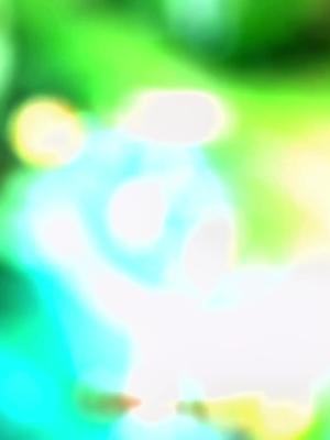 video-3645707