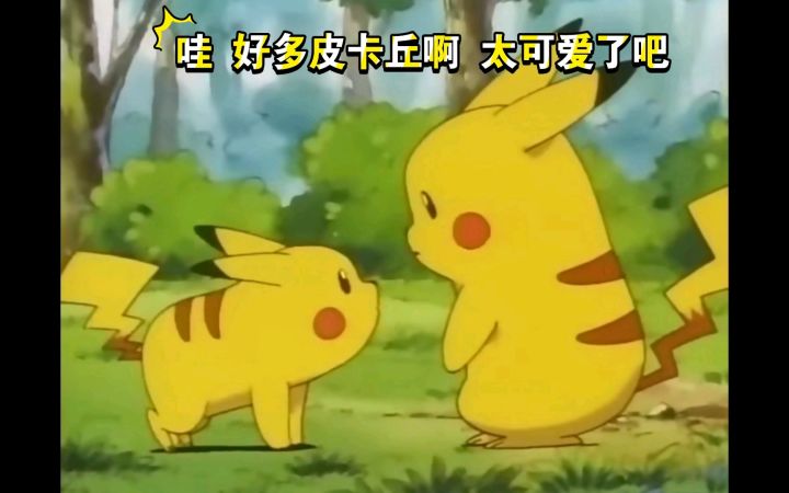 精灵宝可梦 哇好多皮卡丘啊 太可爱了吧截图