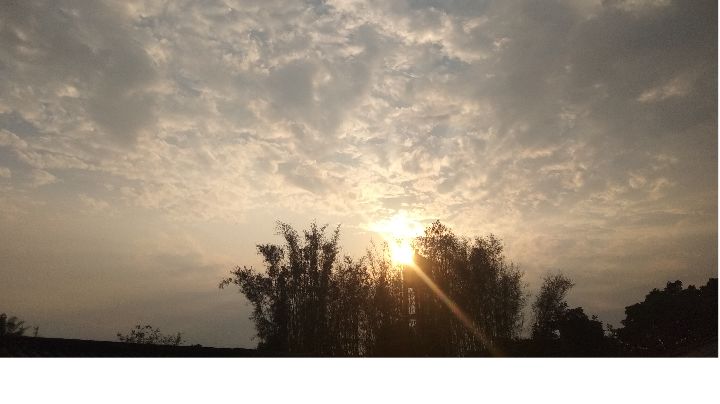 video-1269589